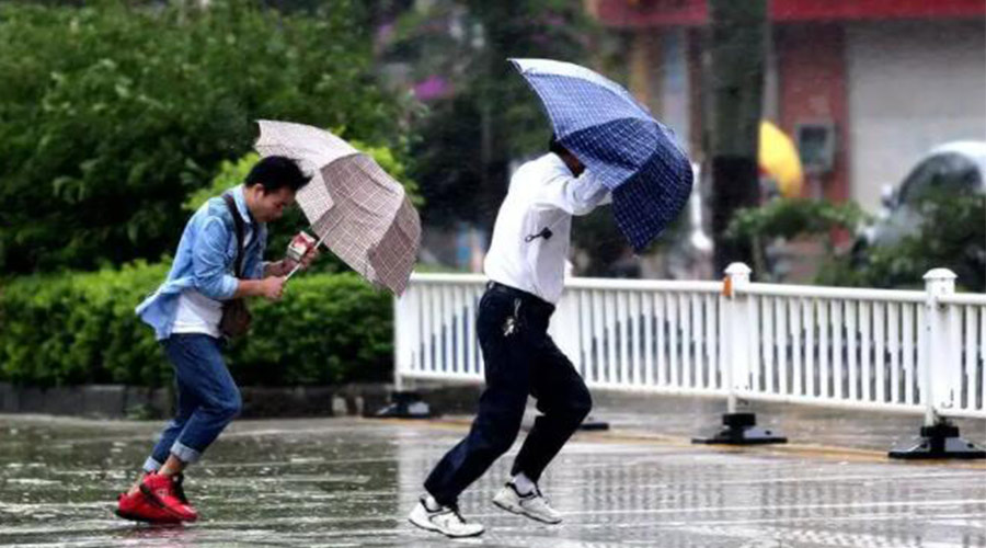 9號臺風“馬鞍”生成！金環(huán)電器提醒大家要注意的事項