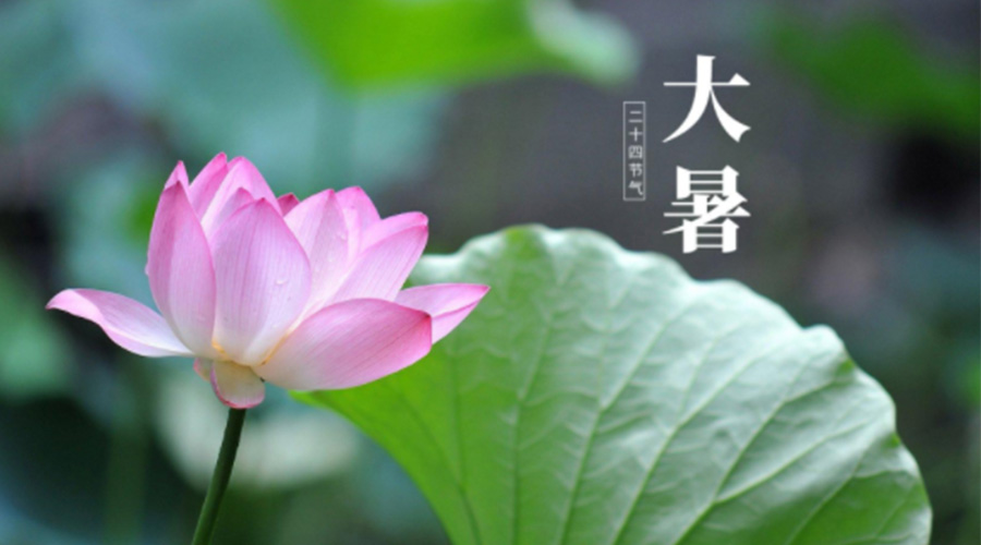 大暑時節(jié)！金環(huán)電器提醒大家注意這些干衣細節(jié)