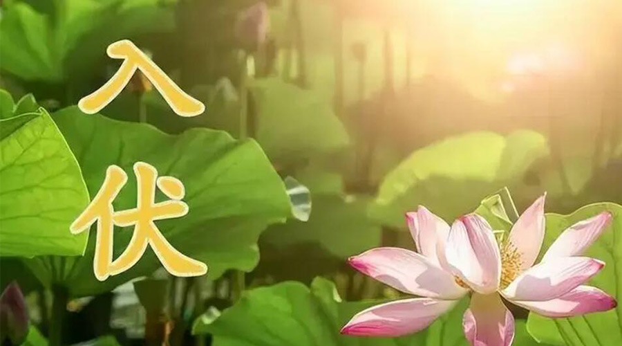 入伏天來襲！金環(huán)電器提醒大家要注意的事項