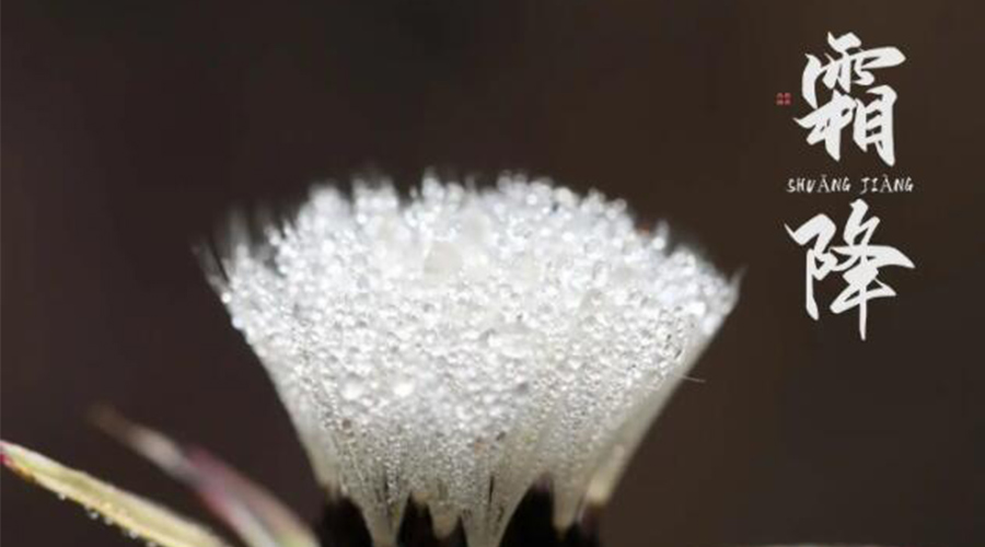 霜降時節(jié)！金環(huán)電器提醒大家要注意的事項