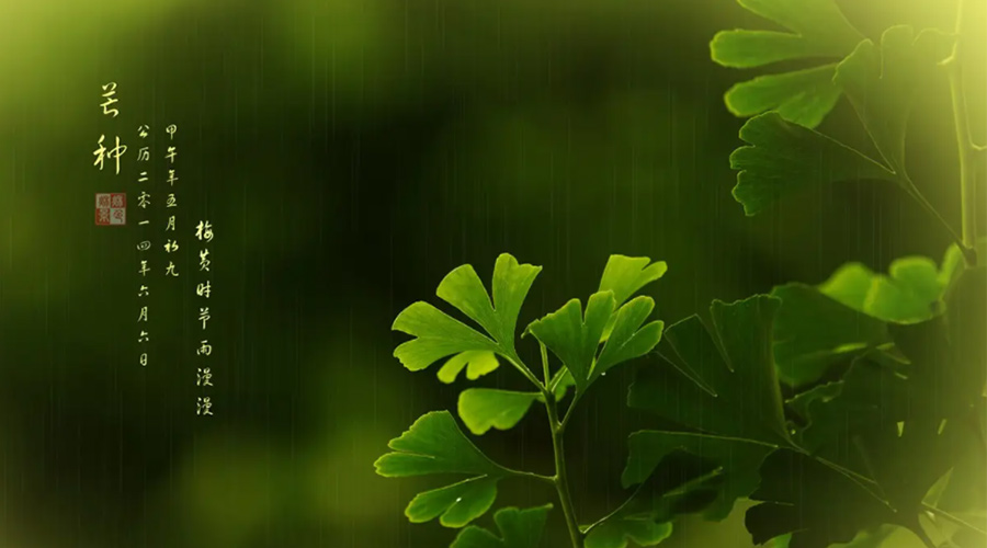 芒種時(shí)節(jié)！金環(huán)電器提醒大家的注意事項(xiàng)