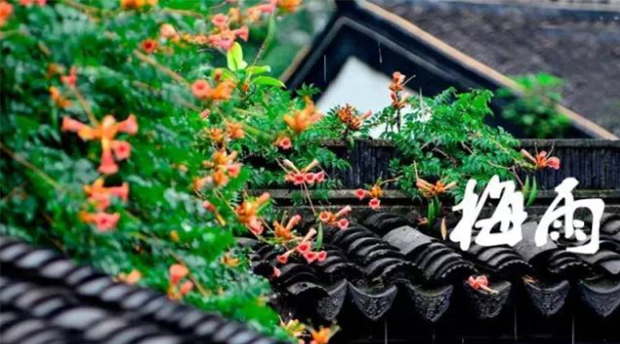 什么是梅雨？梅雨如何形成？  金環(huán)電器告訴你答案