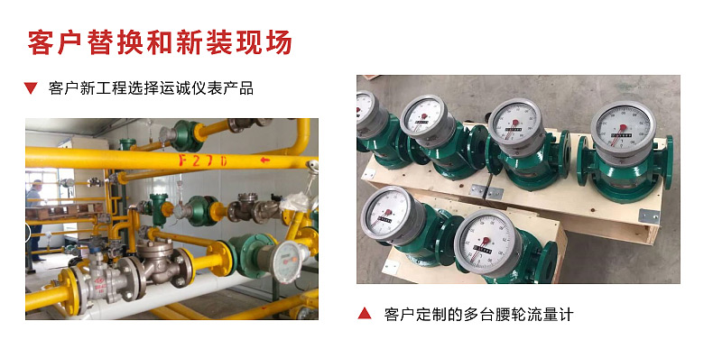 1614232049295525.jpg 腰輪流量計(jì).jpg